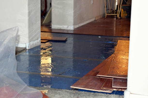 Professional Water Damage Restoration technician working in Cisco, TX